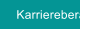 Karriereberatung