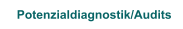 Potenzialdiagnostik/Audits